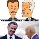 Beavis & Butthead are Biden & Newsom meme