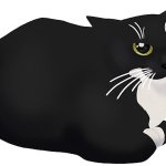 Maxwell Dingus the Carryable Cat