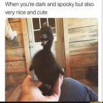 When you’re dark and spooky but also very nice and cute