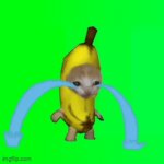 banana cat | image tagged in gifs,banana | made w/ Imgflip video-to-gif maker