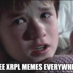 XRP COMMUNITY STRONG TOGETHER | I SEE XRPL MEMES EVERYWHERE | image tagged in sixth sense | made w/ Imgflip meme maker