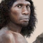 Neanderthal Face