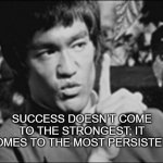 One Bruce Lee | SUCCESS DOESN’T COME TO THE STRONGEST; IT COMES TO THE MOST PERSISTENT | image tagged in one bruce lee | made w/ Imgflip meme maker