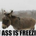 My Ass Is Freezing. | MY ASS IS FREEZING. | image tagged in chris joines | made w/ Imgflip meme maker