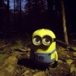 minion staring