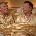 Donald Trump Elon Musk in bed elonald