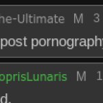 didnt you post pornography meme