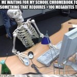 Have a good day! | ME WAITING FOR MY SCHOOL CHROMEBOOK TO LOAD SOMETHING THAT REQUIRES <100 MEGABYTES TO LOAD | image tagged in skeleton computer,school meme,funny,fun | made w/ Imgflip meme maker