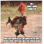 Never fat shame a chicken | NO, I DON'T HAVE BIRD FLU; AND YOU SHOULD SEE THE ROOSTER, HE WILL NEVER, EVER, EVER CALL ME A FAT CHICK AGAIN | image tagged in mangled chicken,never fat shame a chicken,it ends badly,fat chick,fat shame,bird flu | made w/ Imgflip meme maker