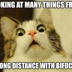 untitled | LOOKING AT MANY THINGS FROM; WRONG DISTANCE WITH BIFOCALS | image tagged in memes,scared cat | made w/ Imgflip meme maker