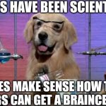 Chemistry Dog | DOGS HAVE BEEN SCIENTIST; DOES MAKE SENSE HOW THE DOGS CAN GET A BRAINCELLS. | image tagged in chemistry dog,meme,scientist,exist,braincells,dog | made w/ Imgflip meme maker