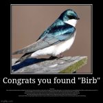 Congrats you found "Birb" | Did you know?
Birds are a group of warm-blooded vertebrates constituting the class Aves (Latin: [ˈaveːs]), chara | image tagged in funny,demotivationals | made w/ Imgflip demotivational maker