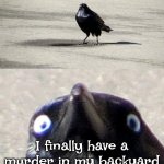 A Flock Of Crows Is Called A "Murder" | It's taken years but; I finally have a murder in my backyard and I'm excited about it! | image tagged in insanity crow,murder,crows,birds,play on words,memes | made w/ Imgflip meme maker