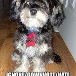 Dumbass sat down | UPVOTE FOR MY DOG; IGNORE/DOWNVOTE/HATE COMMENT/DODGE IF YOU ARE CURRENTLY JACKING OFF | image tagged in dumbass sat down | made w/ Imgflip meme maker