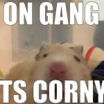 ts corny