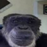 monke staring and smiling meme