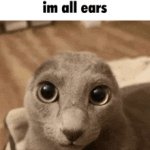 Im all ears