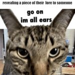 Say it louder | When you hear a classmate revealing a piece of their  lore to someone | image tagged in im all ears,cats,cat | made w/ Imgflip meme maker