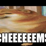 cheems | CHEEEEEEMS | image tagged in gifs,cheems | made w/ Imgflip video-to-gif maker