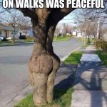 Booty Tree | MY MOM TOLD ME GOING ON WALKS WAS PEACEFUL; SHE WAS WRONG | image tagged in booty tree | made w/ Imgflip meme maker