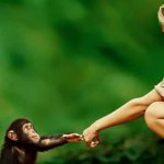 Jane Goodall