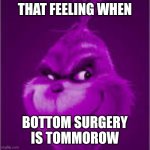 purple grinch | THAT FEELING WHEN; BOTTOM SURGERY IS TOMMOROW | image tagged in purple grinch | made w/ Imgflip meme maker