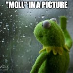 "Moll" in a Picture | "MOLL" IN A PICTURE | image tagged in kermit window | made w/ Imgflip meme maker