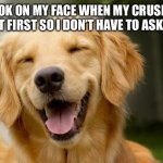 Happy Dog | THE LOOK ON MY FACE WHEN MY CRUSH ASKS ME OUT FIRST SO I DON’T HAVE TO ASK THEM | image tagged in happy dog | made w/ Imgflip meme maker