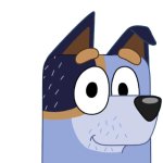 Stripe Heeler Head