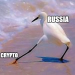 Bird touching water | RUSSIA; CRYPTO | image tagged in bird touching water | made w/ Imgflip meme maker