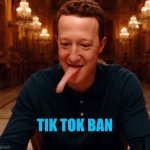 Lizardberg | TIK TOK BAN | image tagged in lizardberg,stupid criminals,us government,scumbag,tik tok ban,meta | made w/ Imgflip meme maker