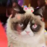 Grumpy cat confetti GIF Template