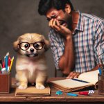 Dog with glasses sitting at a desk while a human is standing nex