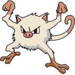 Mankey 3