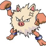 Primeape 4