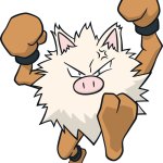 Primeape 5