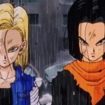 android 18 and 17