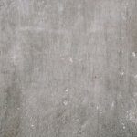 gray blank