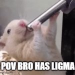 @twoelektrik86 | POV BRO HAS LIGMA | image tagged in gifs,fun | made w/ Imgflip video-to-gif maker