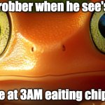 FROG DEATH STARE | the robber when he see's me; me at 3AM eaiting chips | image tagged in frog death stare | made w/ Imgflip meme maker