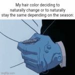 My hair definitely be changing color naturally | My hair color deciding to naturally change or to naturally stay the same depending on the season: | image tagged in gifs,hair,hair color,memes,blank white template,color | made w/ Imgflip video-to-gif maker