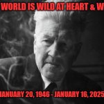 RIP DAVID LYNCH | THIS WHOLE WORLD IS WILD AT HEART & WEIRD ON TOP. JANUARY 20, 1946 - JANUARY 16, 2025 | image tagged in david lynch | made w/ Imgflip meme maker