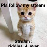 Riddles_4_ever | Pls follow my stteam; Stream : riddles_4_ever | image tagged in memes,cute cat | made w/ Imgflip meme maker