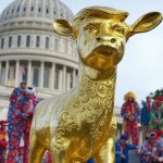 Donald Trump Golden Calf clowns President Republicans