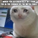 awch | WHEN YOU ACCIDENTALLY HIT YOUR TOE IN THE CORNER OF THE METAL TABLE | image tagged in crying cat,memes,pain | made w/ Imgflip meme maker