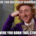 Willfully Ignorant | ARE YOU WILLFULLY IGNORANT; OR WERE YOU BORN THIS STUPID? | image tagged in willy wonka hd | made w/ Imgflip meme maker