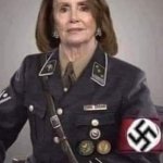 Nancy Pelosi is a nazi