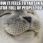 Let's go | HOW IT FEELS TO FART IN AN ELEVATOR FULL OF PEOPLE YOU HATE | image tagged in memes,satisfied seal | made w/ Imgflip meme maker