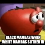 We all know black mambas, right? | BLACK MAMBAS WHEN WHITE MAMBAS SLITHER IN | image tagged in gifs,snake,black mamba,mamba,sad tomato,tomato | made w/ Imgflip video-to-gif maker