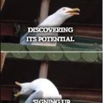 duck | NOTICING FAN ON TG; DISCOVERING ITS POTENTIAL; SIGNING UP; PERFORMING ALL TASKS | image tagged in duck | made w/ Imgflip meme maker